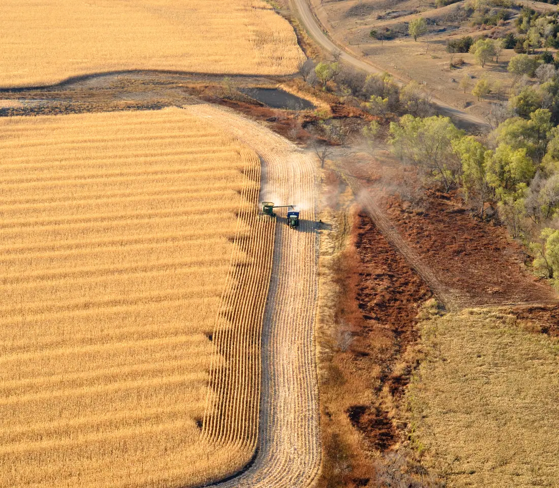 Aerial view of a combine harvesting a field