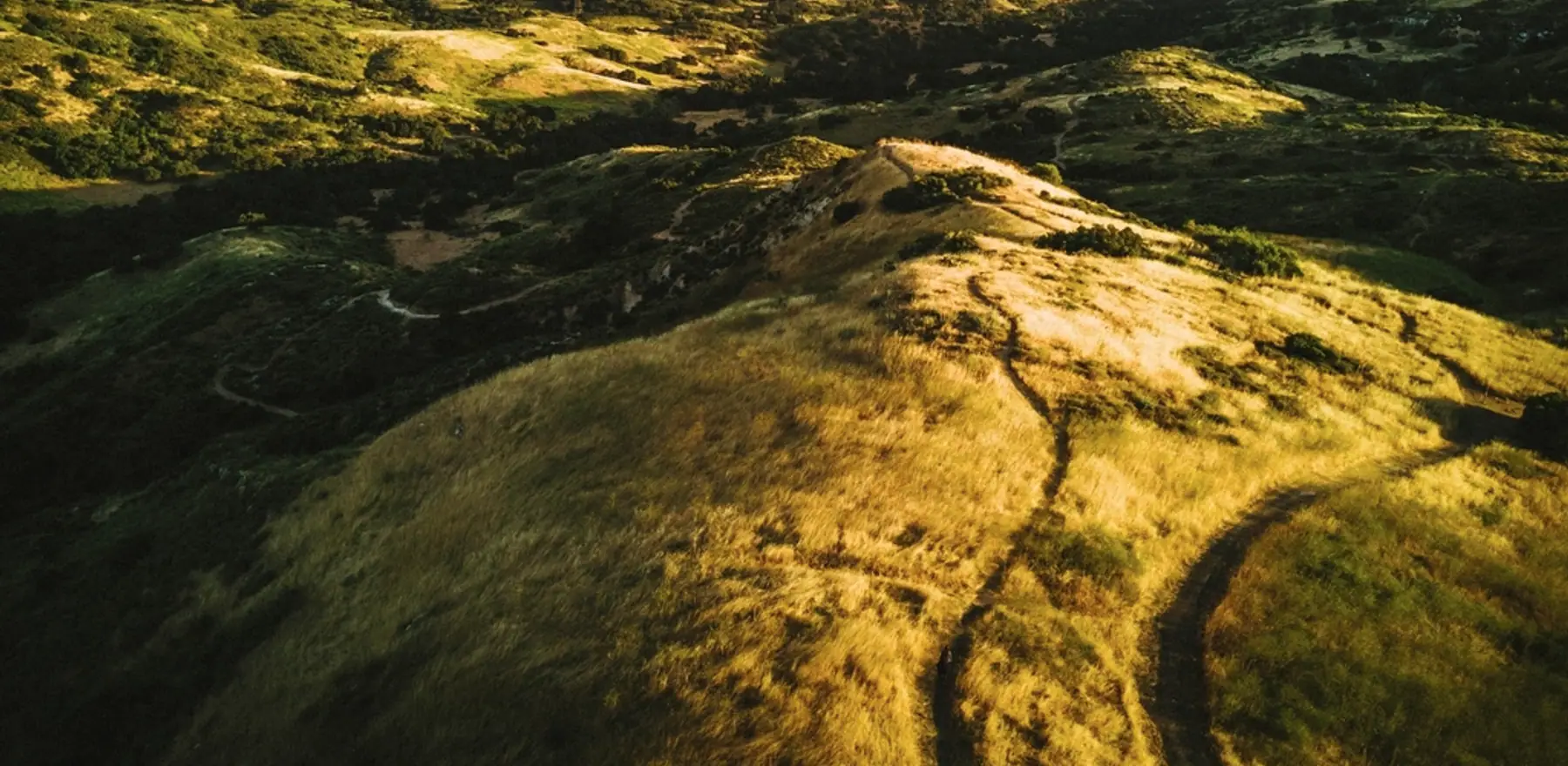 Rolling cultivated fields from above