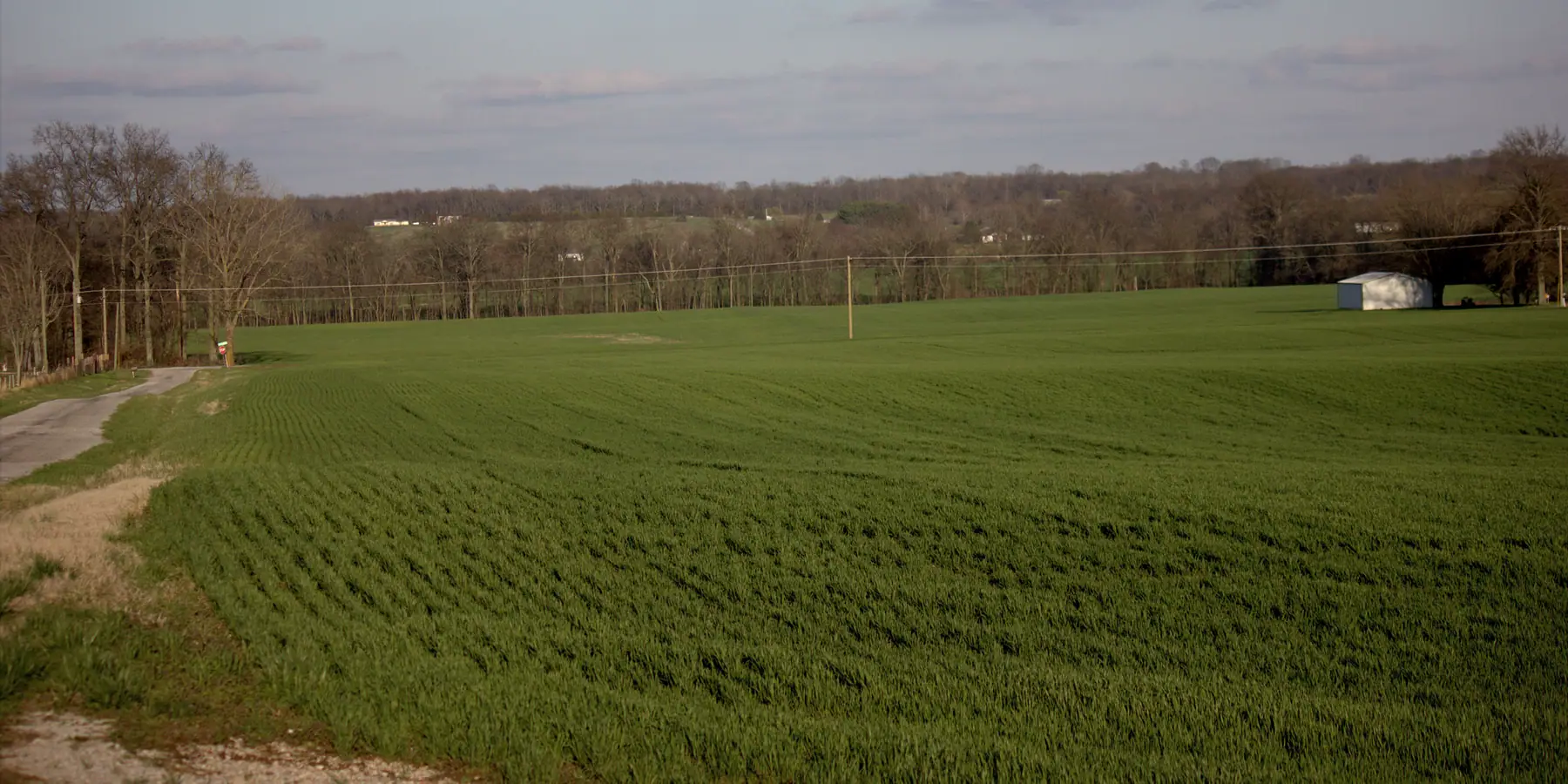 Quiet country road through farmland