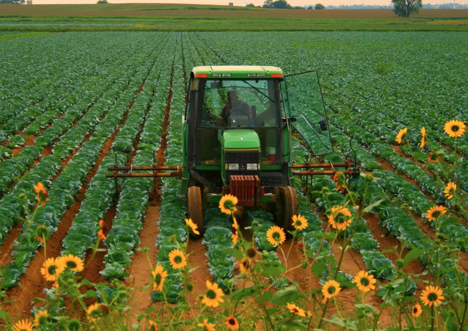 A tractor working a cultivated field